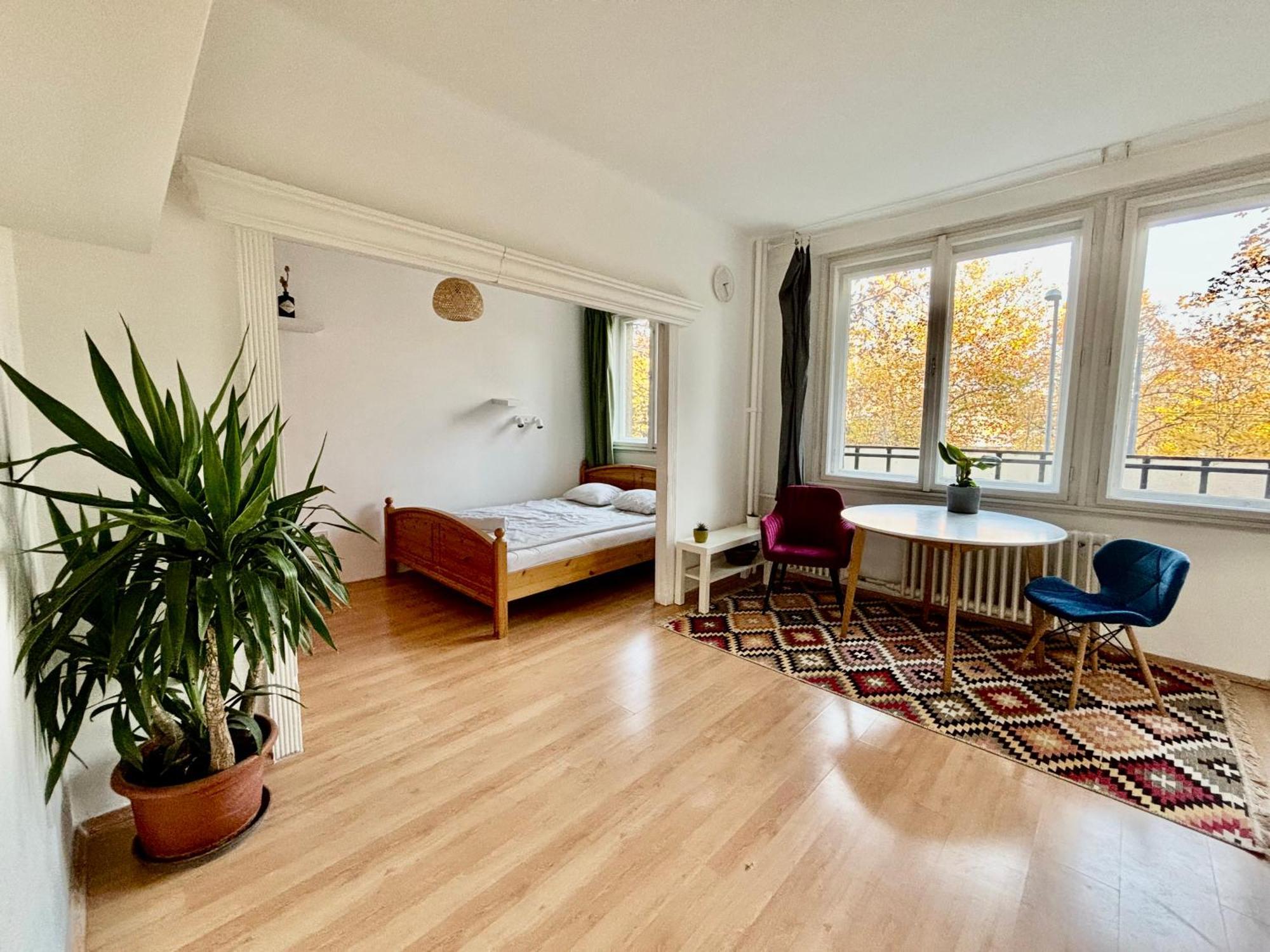 Frankel Near Lukacs Bath Appartement Boedapest